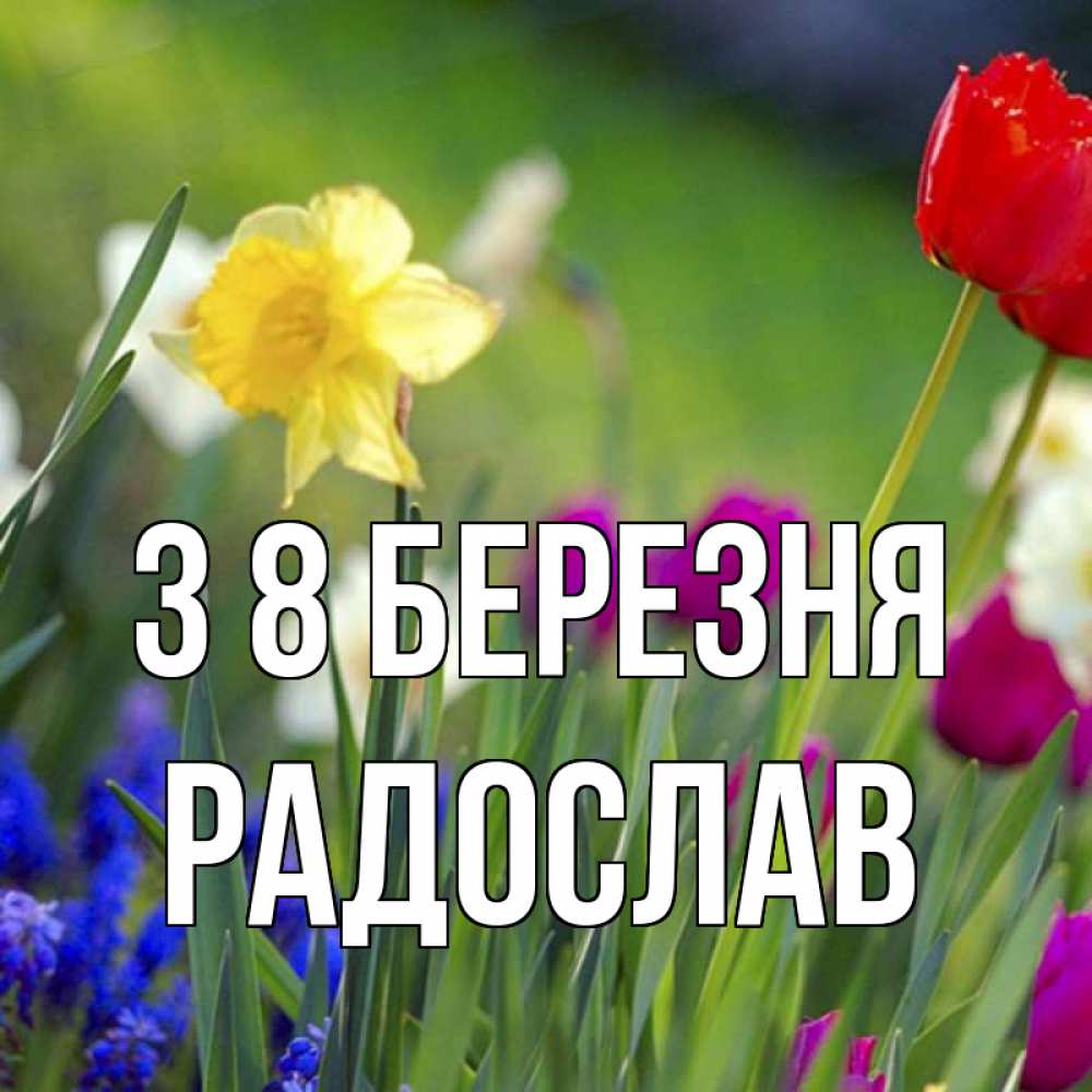 Открытка на каждый день з підписом, Радослав З 8 БЕРЕЗНЯ международный женский день 3 Прикольна листівка з побажанням онлайн скачати безкоштовно 
