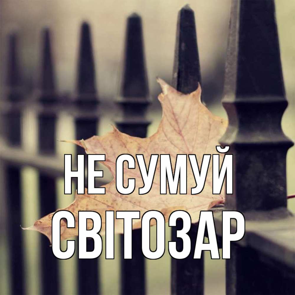 Открытка на каждый день з підписом, Світозар Не сумуй лист клена Прикольна листівка з побажанням онлайн скачати безкоштовно 