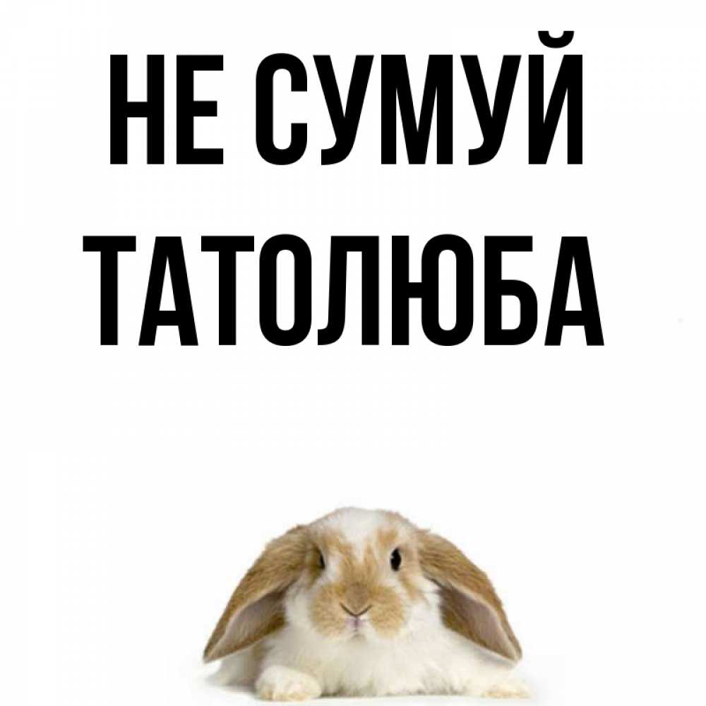 Открытка на каждый день з підписом, Татолюба Не сумуй коричнево белый заяц с большими ушками Прикольна листівка з побажанням онлайн скачати безкоштовно 