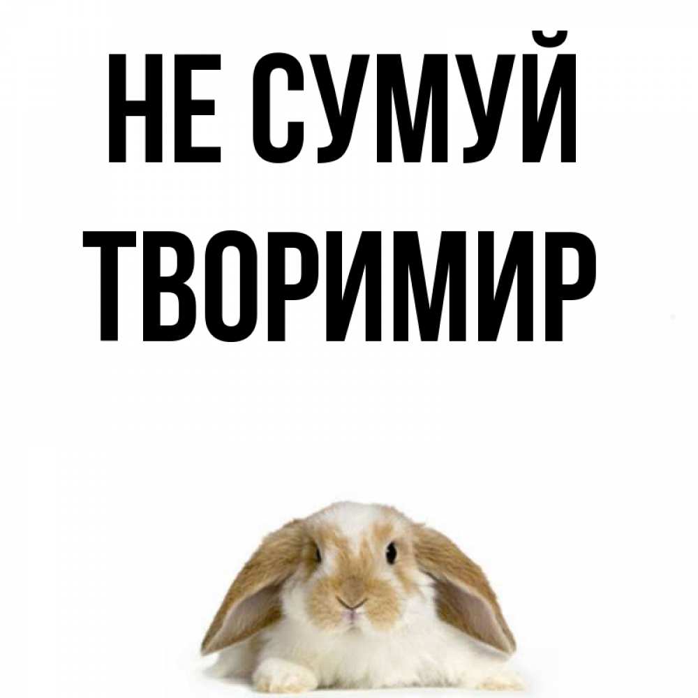 Открытка на каждый день з підписом, Творимир Не сумуй коричнево белый заяц с большими ушками Прикольна листівка з побажанням онлайн скачати безкоштовно 