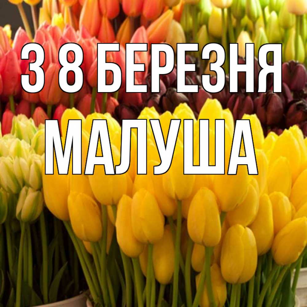 Открытка на каждый день з підписом, Малуша З 8 БЕРЕЗНЯ цветы Прикольна листівка з побажанням онлайн скачати безкоштовно 