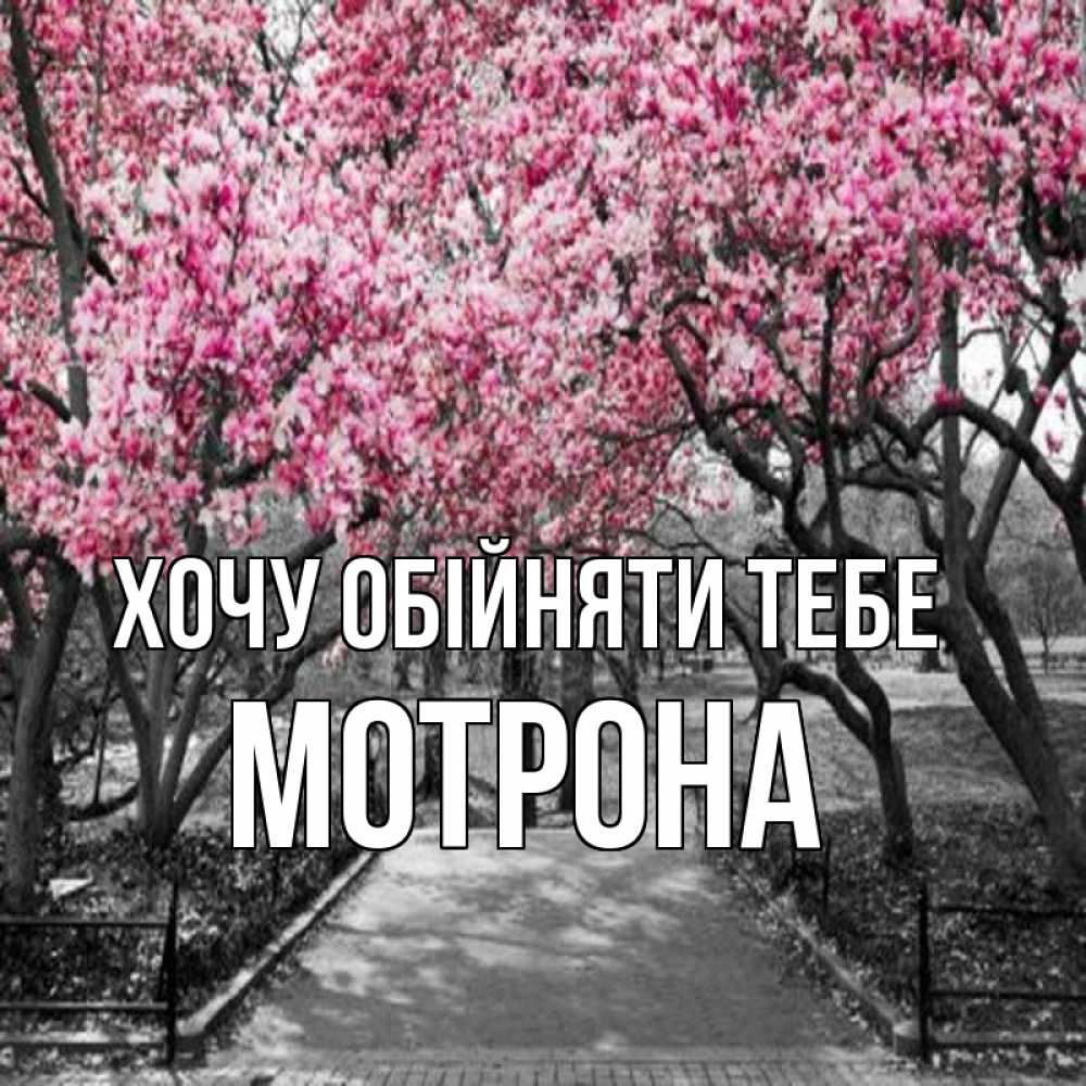 Открытка на каждый день з підписом, Мотрона Хочу обійняти тебе обработанное фото Прикольна листівка з побажанням онлайн скачати безкоштовно 