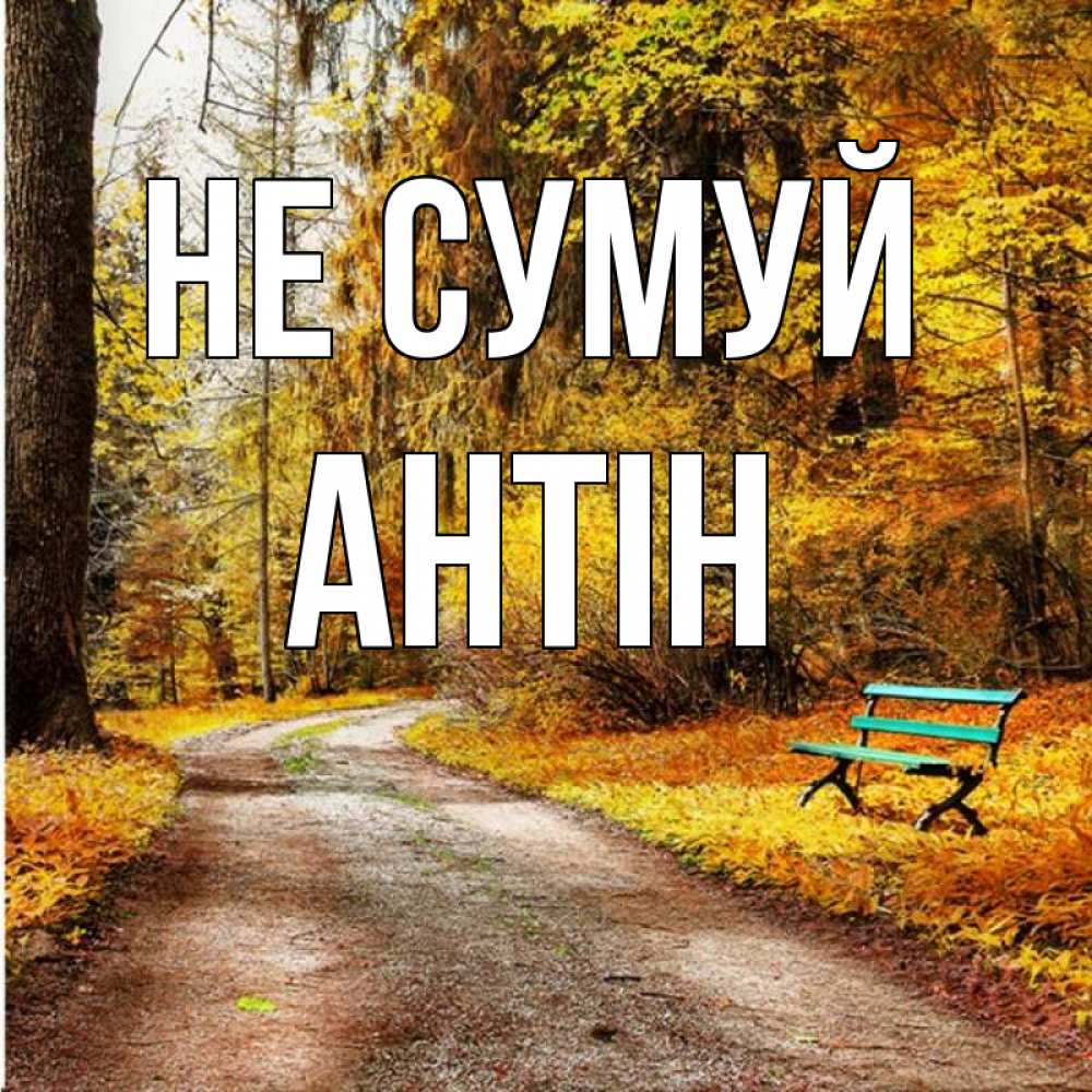 Открытка на каждый день з підписом, Антін Не сумуй зеленая лавочка Прикольна листівка з побажанням онлайн скачати безкоштовно 