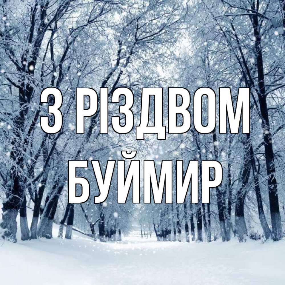 Открытка на каждый день з підписом, Буймир З Різдвом снег, лес, парк Прикольна листівка з побажанням онлайн скачати безкоштовно 