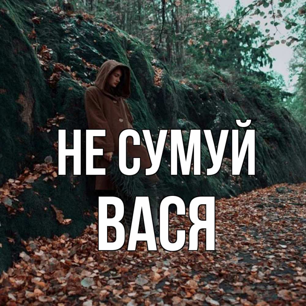 Открытка на каждый день з підписом, Вася Не сумуй осенний лес Прикольна листівка з побажанням онлайн скачати безкоштовно 