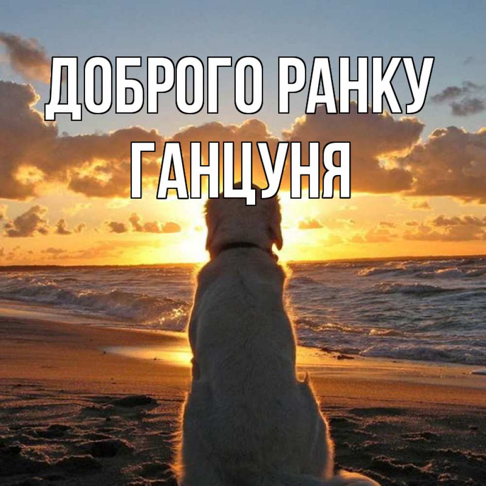 Открытка на каждый день з підписом, Ганцуня Доброго ранку восход солнца Прикольна листівка з побажанням онлайн скачати безкоштовно 