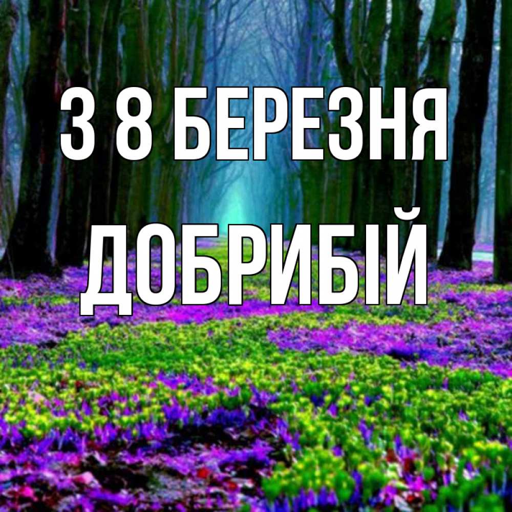 Открытка на каждый день з підписом, Добрибій З 8 БЕРЕЗНЯ фиолетовые цветы в лесу 1 Прикольна листівка з побажанням онлайн скачати безкоштовно 