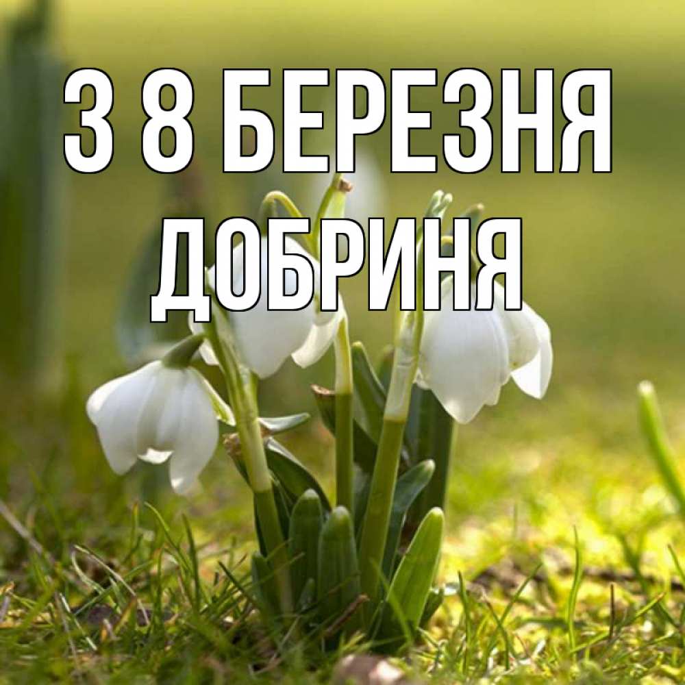 Открытка на каждый день з підписом, Добриня З 8 БЕРЕЗНЯ ранние цветы 2 Прикольна листівка з побажанням онлайн скачати безкоштовно 