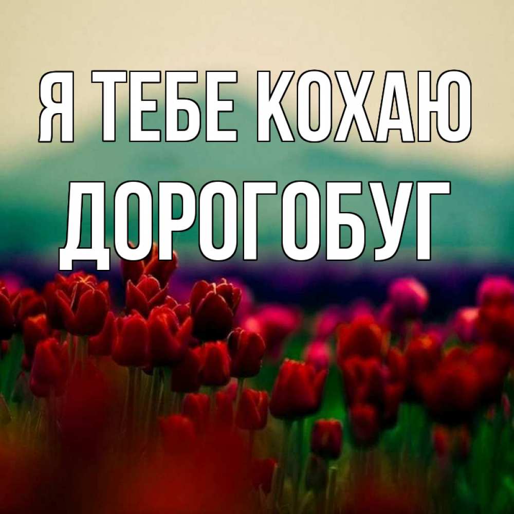 Открытка на каждый день з підписом, Дорогобуг Я тебе кохаю тюльпаны 4 Прикольна листівка з побажанням онлайн скачати безкоштовно 