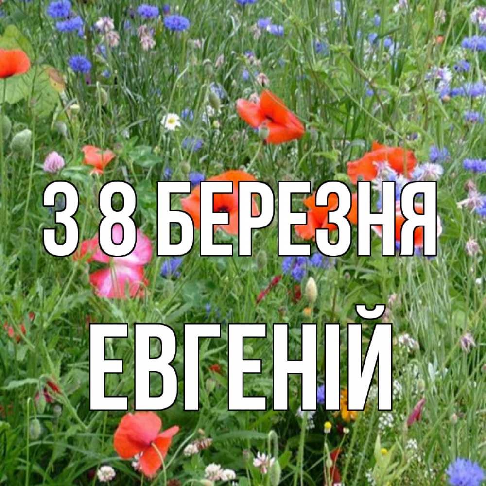 Открытка на каждый день з підписом, Евгеній З 8 БЕРЕЗНЯ международный женский день 4 Прикольна листівка з побажанням онлайн скачати безкоштовно 