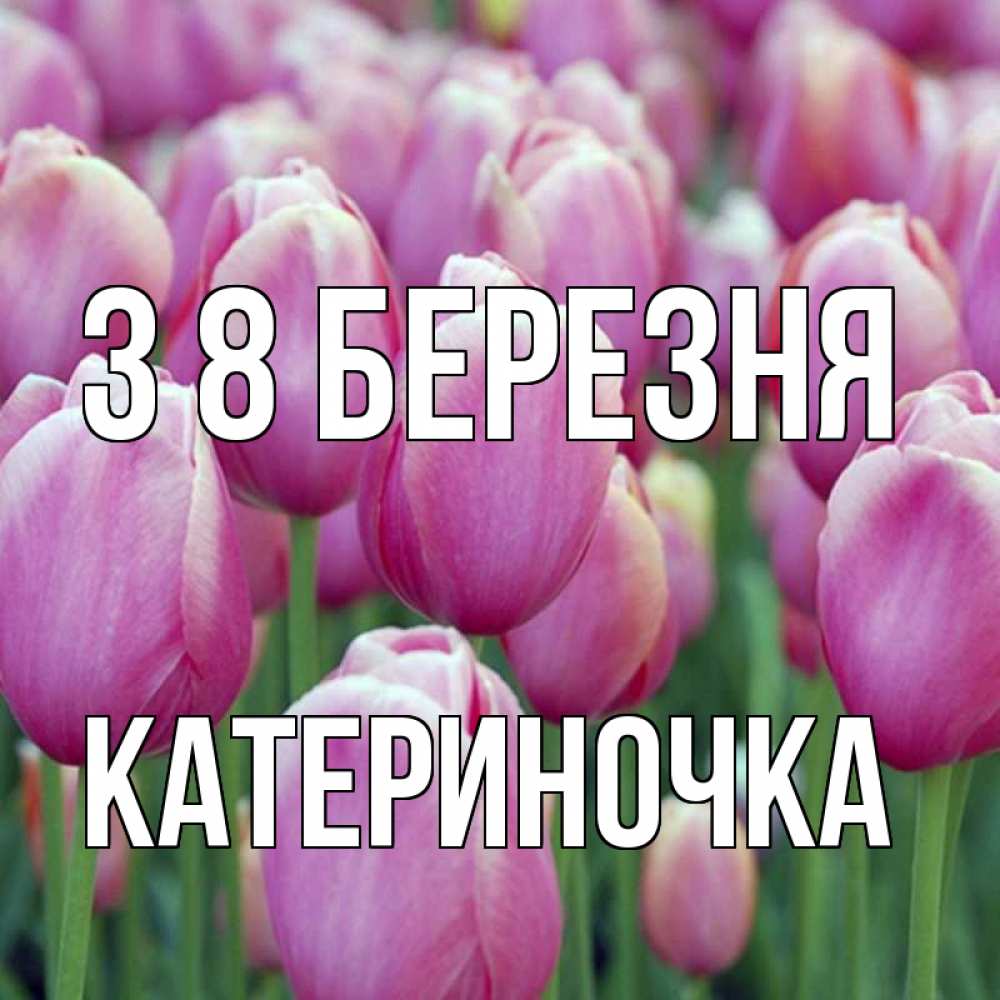 Открытка на каждый день з підписом, Катериночка З 8 БЕРЕЗНЯ на международный женский день 3 Прикольна листівка з побажанням онлайн скачати безкоштовно 