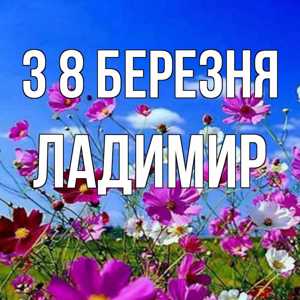Открытка на каждый день з підписом, Ладимир З 8 БЕРЕЗНЯ цветы Прикольна листівка з побажанням онлайн скачати безкоштовно 