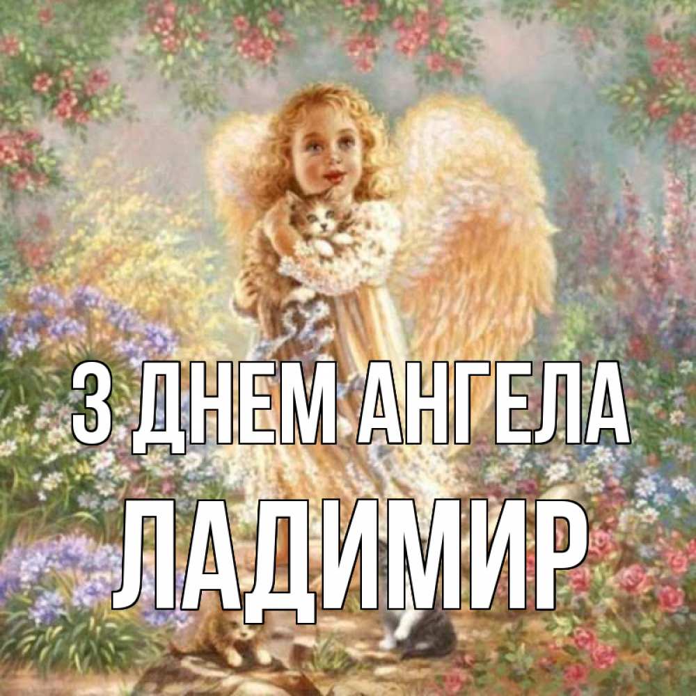 Открытка на каждый день з підписом, Ладимир З Днем ангела держит котенка Прикольна листівка з побажанням онлайн скачати безкоштовно 