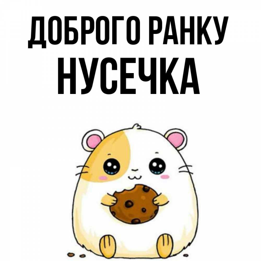 Открытка на каждый день з підписом, Нусечка Доброго ранку есть печеньку. Утречко Прикольна листівка з побажанням онлайн скачати безкоштовно 