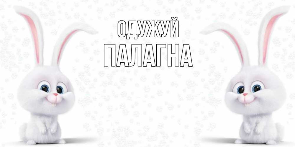 Открытка на каждый день з підписом, Палагна Одужуй не болей с зайцем Прикольна листівка з побажанням онлайн скачати безкоштовно 