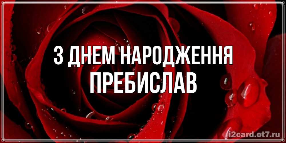 Открытка на каждый день з підписом, Пребислав З Днем народження крупная бордовая роза Прикольна листівка з побажанням онлайн скачати безкоштовно 