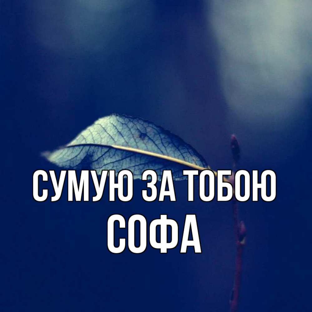 Открытка на каждый день з підписом, Софа Сумую за тобою одна ветка 1 Прикольна листівка з побажанням онлайн скачати безкоштовно 
