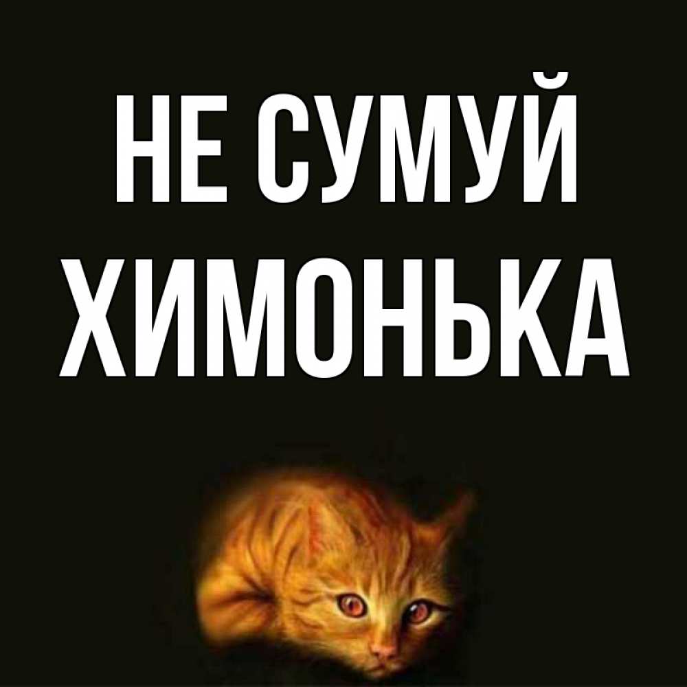 Открытка на каждый день з підписом, Химонька Не сумуй лежащий кот в темноте Прикольна листівка з побажанням онлайн скачати безкоштовно 