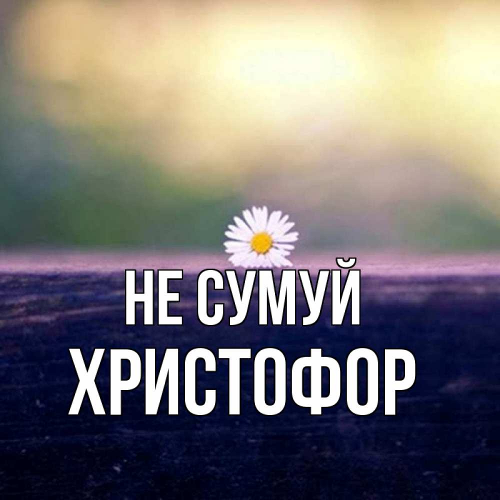 Открытка на каждый день з підписом, Христофор Не сумуй красота Прикольна листівка з побажанням онлайн скачати безкоштовно 