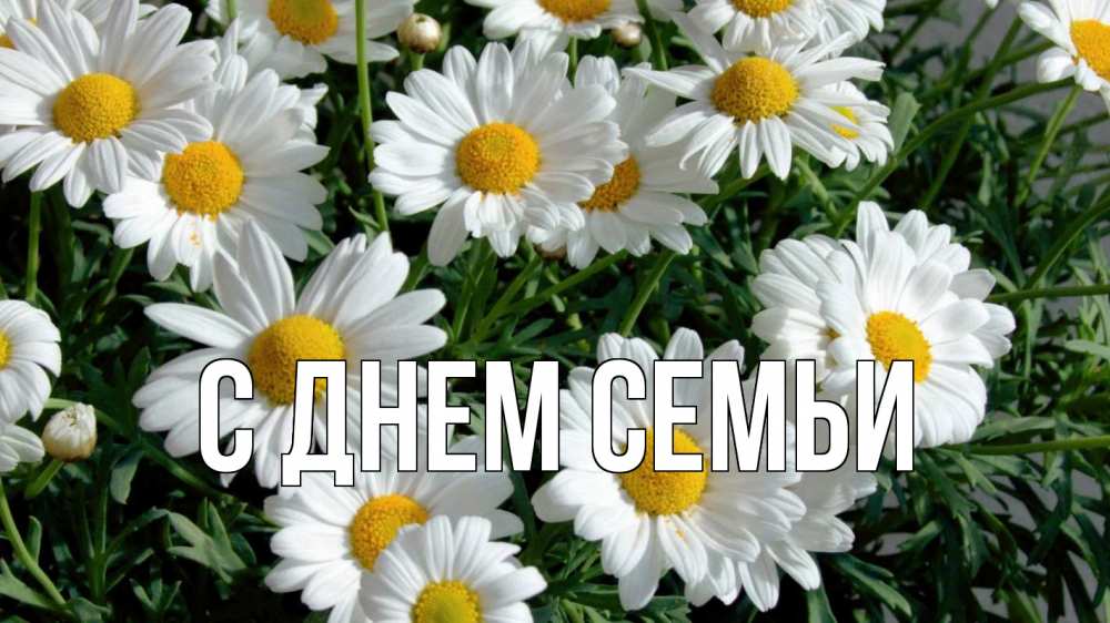 Листівка С днем семьи, 