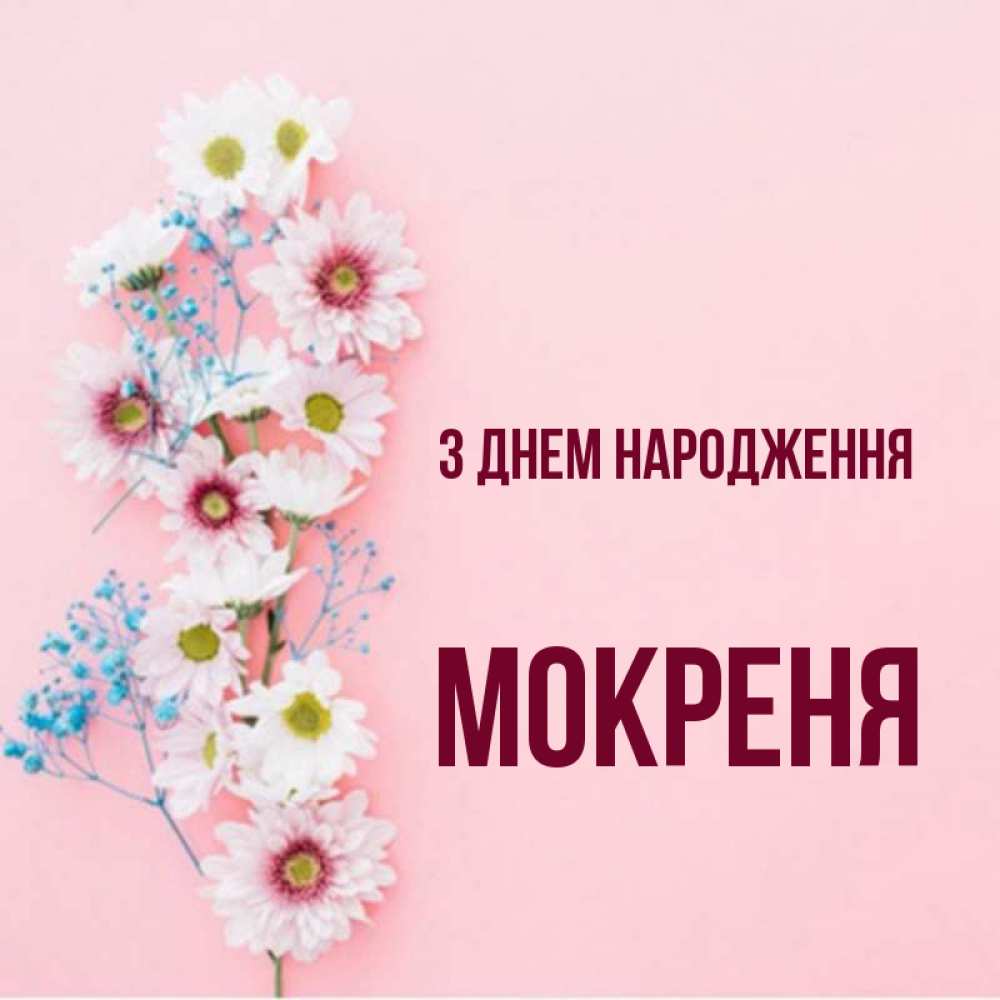 Открытка на каждый день з підписом, Мокреня З Днем народження Родная моя с днем рождения тебя картинка с цветами белыми и голубыми Прикольна листівка з побажанням онлайн скачати безкоштовно 