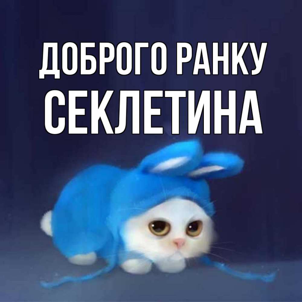 Открытка на каждый день з підписом, Секлетина Доброго ранку открытки красивые скачать бесплатно Прикольна листівка з побажанням онлайн скачати безкоштовно 