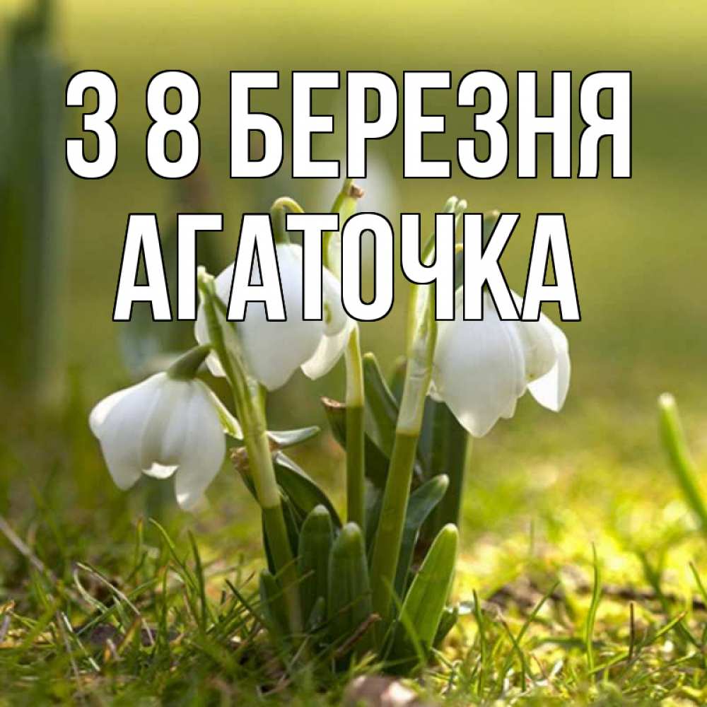Открытка на каждый день з підписом, Агаточка З 8 БЕРЕЗНЯ ранние цветы 2 Прикольна листівка з побажанням онлайн скачати безкоштовно 