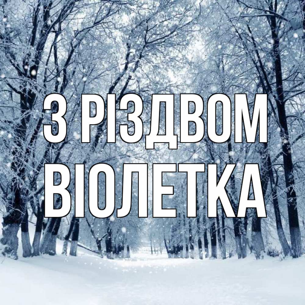 Открытка на каждый день з підписом, Віолетка З Різдвом снег, лес, парк Прикольна листівка з побажанням онлайн скачати безкоштовно 