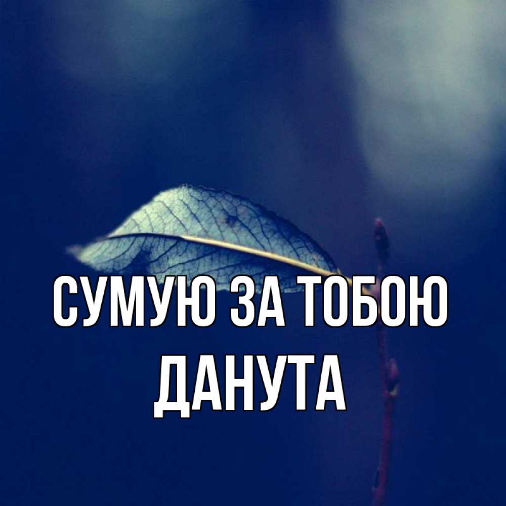 Открытка на каждый день з підписом, Данута Сумую за тобою одна ветка 1 Прикольна листівка з побажанням онлайн скачати безкоштовно 