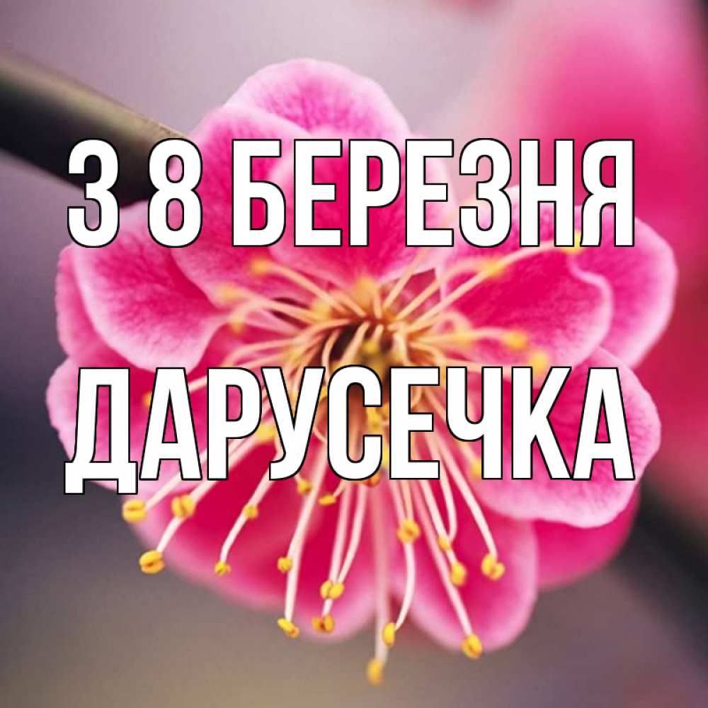 Открытка на каждый день з підписом, Дарусечка З 8 БЕРЕЗНЯ цветы Прикольна листівка з побажанням онлайн скачати безкоштовно 