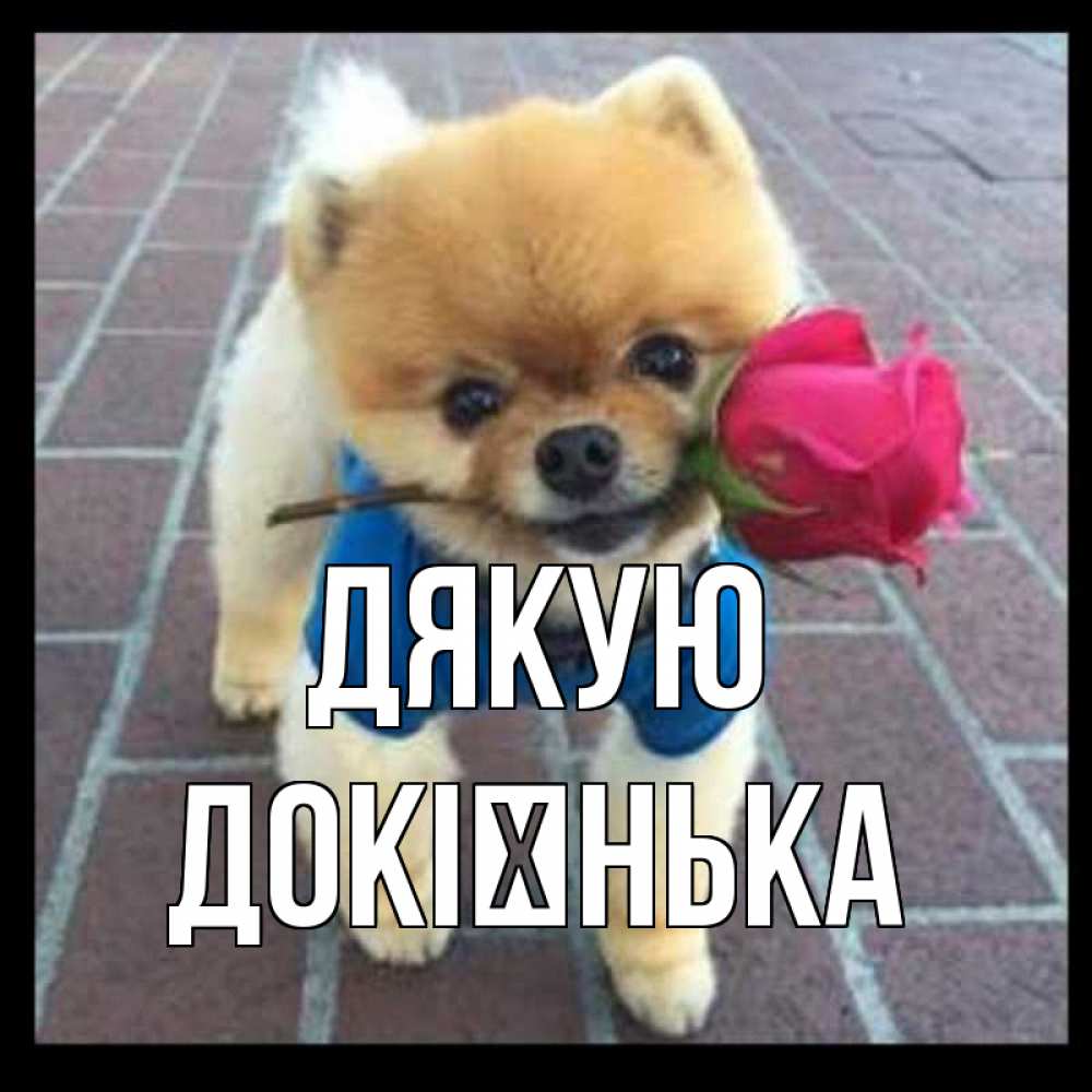 Открытка на каждый день з підписом, Докієнька Дякую спасибо и дарю тебе цветок Прикольна листівка з побажанням онлайн скачати безкоштовно 