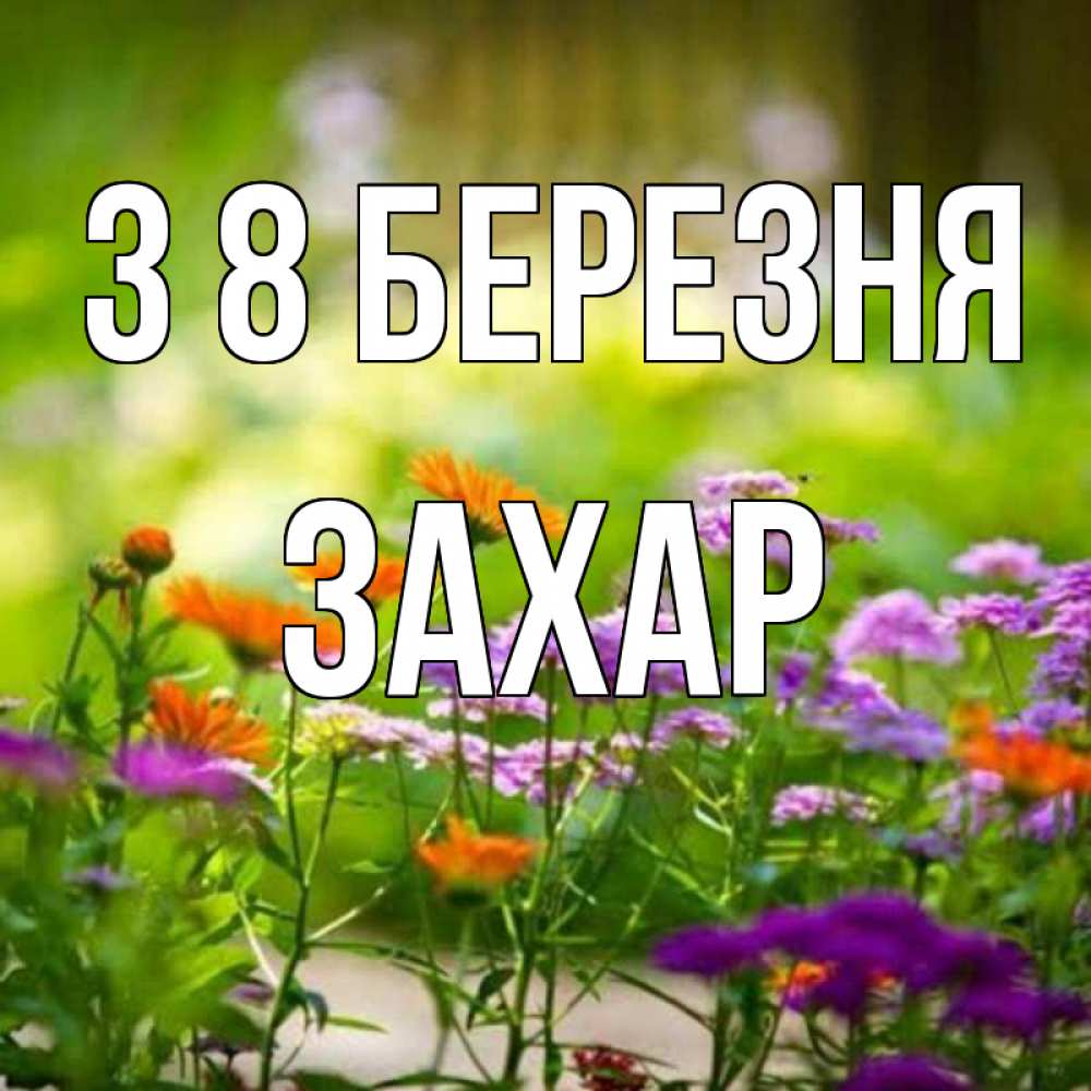 Открытка на каждый день з підписом, Захар З 8 БЕРЕЗНЯ цветы Прикольна листівка з побажанням онлайн скачати безкоштовно 