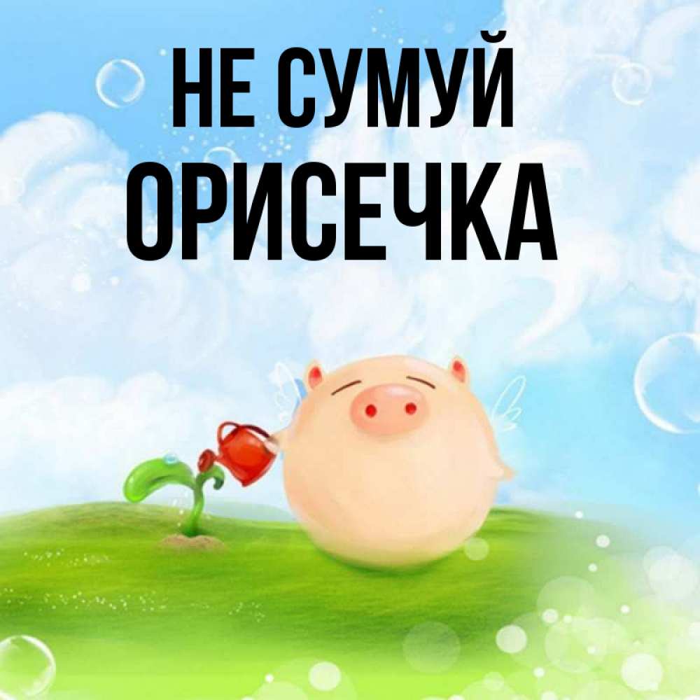Открытка на каждый день з підписом, Орисечка Не сумуй поливает цветок порося Прикольна листівка з побажанням онлайн скачати безкоштовно 