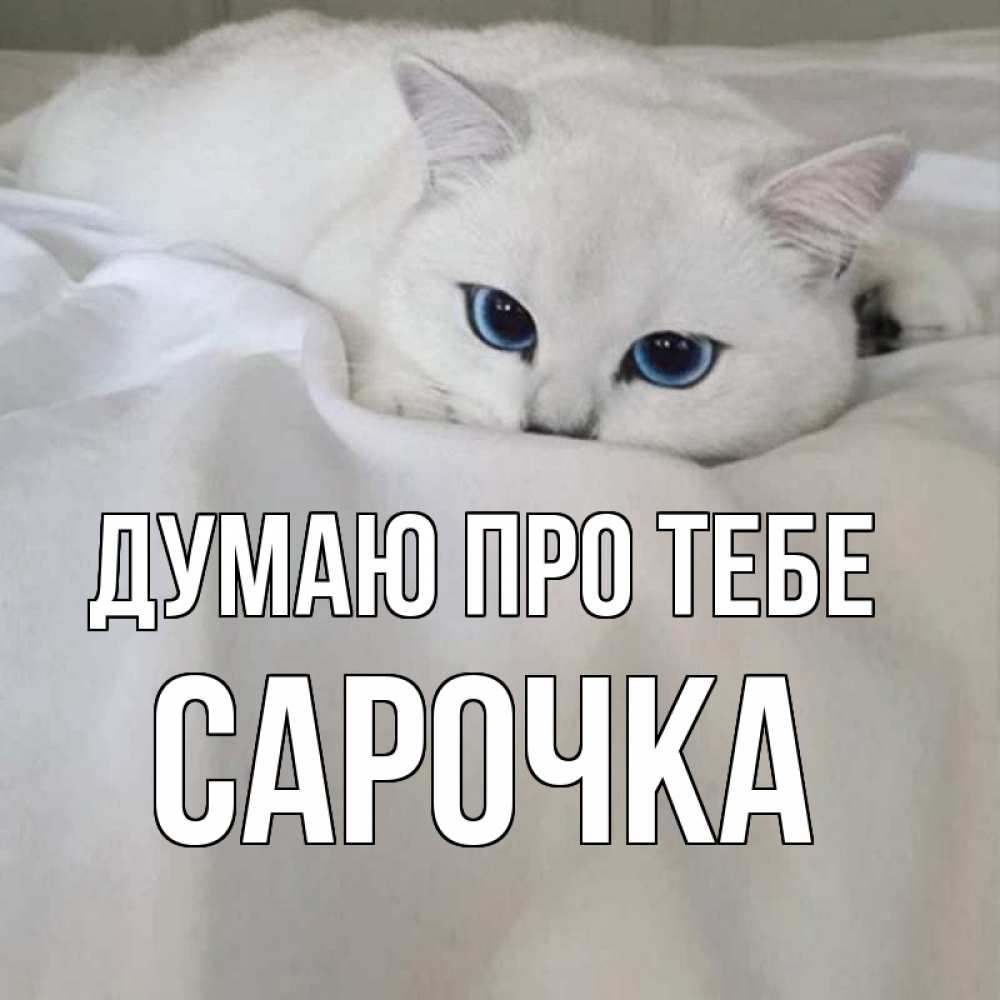 Открытка на каждый день з підписом, Сарочка Думаю про тебе я очень по тебе скучаю и тоскую Прикольна листівка з побажанням онлайн скачати безкоштовно 