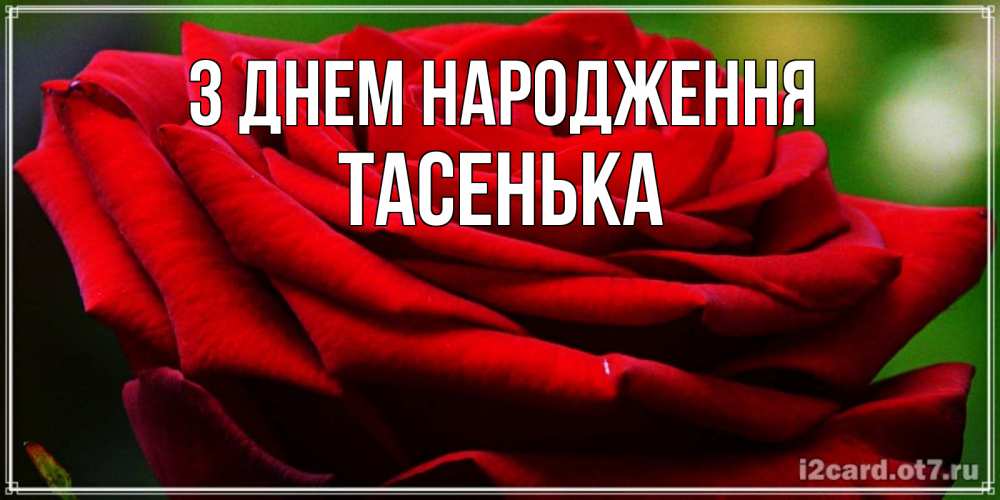 Открытка на каждый день з підписом, Тасенька З Днем народження розочка очень красивая Прикольна листівка з побажанням онлайн скачати безкоштовно 