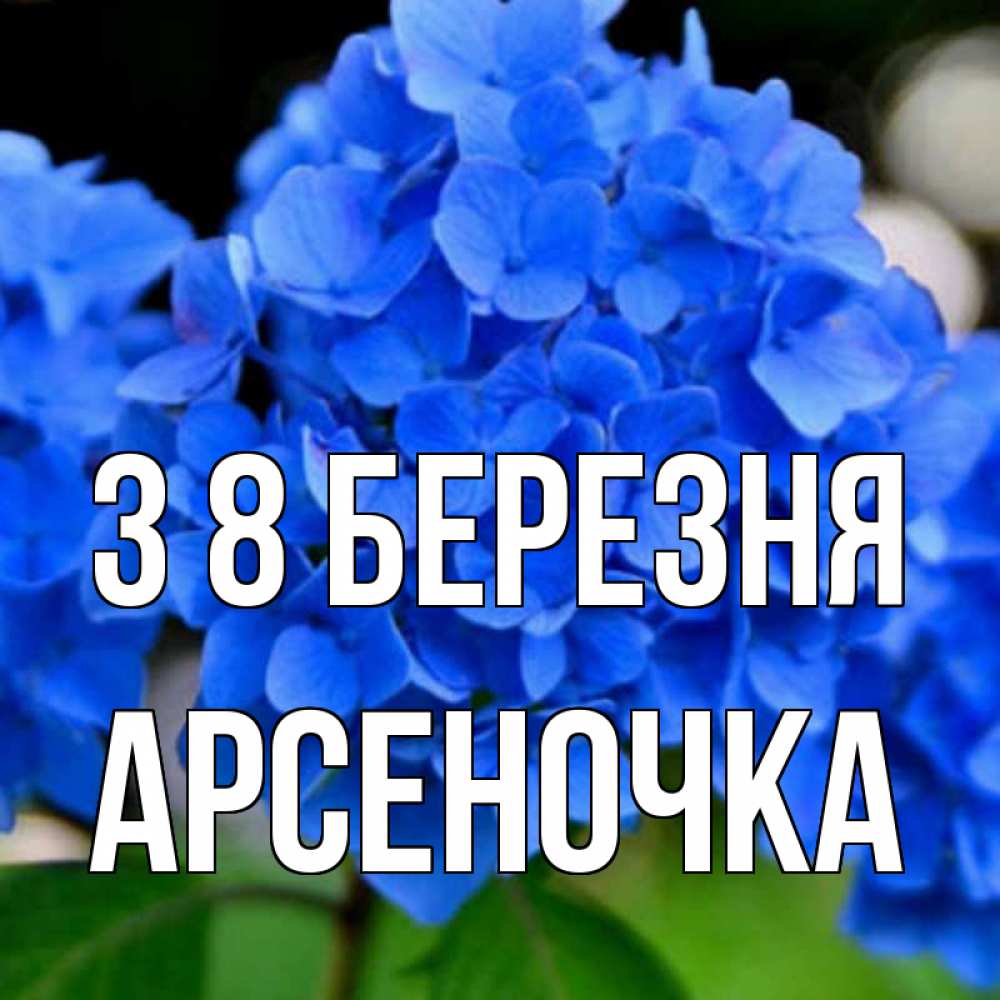 Открытка на каждый день з підписом, Арсеночка З 8 БЕРЕЗНЯ синие цветы Прикольна листівка з побажанням онлайн скачати безкоштовно 