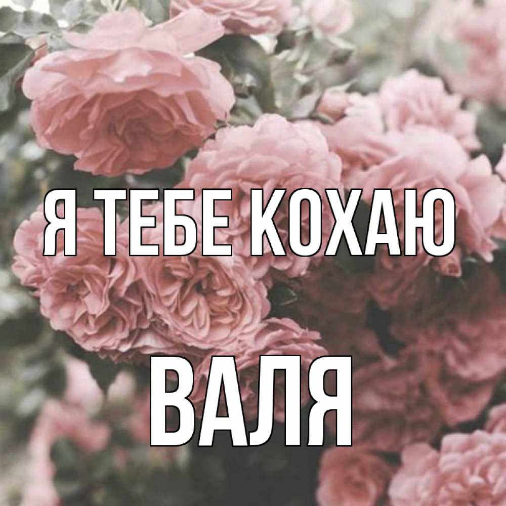 Открытка на каждый день з підписом, Валя Я тебе кохаю розы 3 Прикольна листівка з побажанням онлайн скачати безкоштовно 