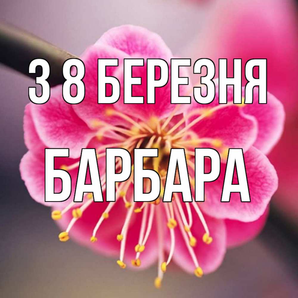 Открытка на каждый день з підписом, Барбара З 8 БЕРЕЗНЯ цветы Прикольна листівка з побажанням онлайн скачати безкоштовно 
