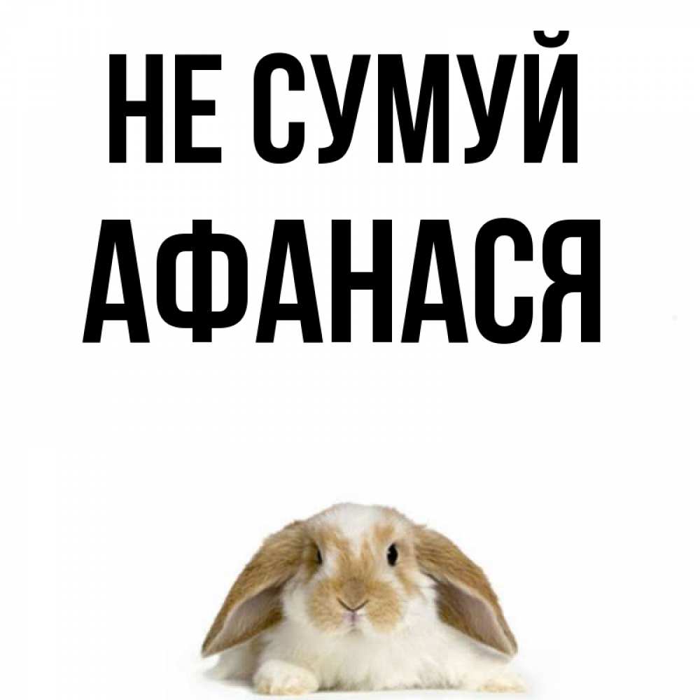 Открытка на каждый день з підписом, Афанася Не сумуй коричнево белый заяц с большими ушками Прикольна листівка з побажанням онлайн скачати безкоштовно 