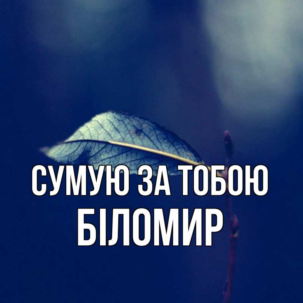 Открытка на каждый день з підписом, Біломир Сумую за тобою одна ветка 1 Прикольна листівка з побажанням онлайн скачати безкоштовно 