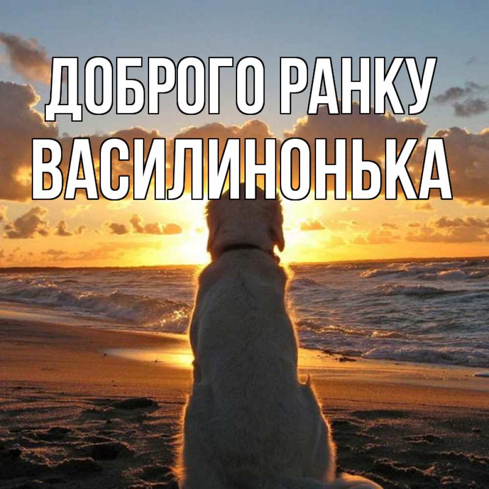Открытка на каждый день з підписом, Василинонька Доброго ранку восход солнца Прикольна листівка з побажанням онлайн скачати безкоштовно 