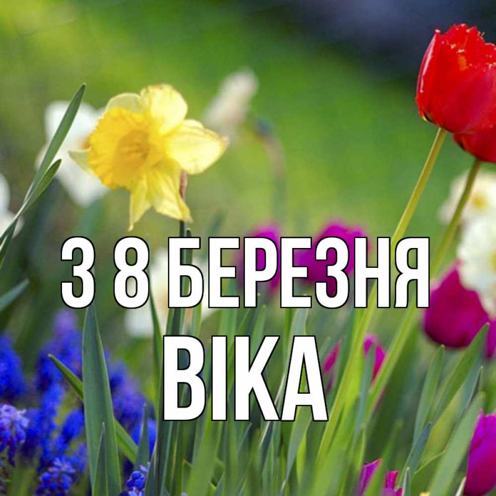 Открытка на каждый день з підписом, Віка З 8 БЕРЕЗНЯ международный женский день 3 Прикольна листівка з побажанням онлайн скачати безкоштовно 