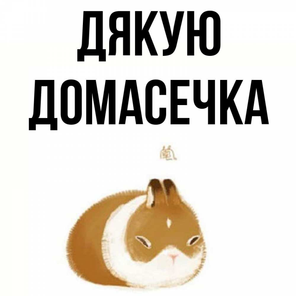 Открытка на каждый день з підписом, Домасечка Дякую коричнево белый домашний питомец Прикольна листівка з побажанням онлайн скачати безкоштовно 
