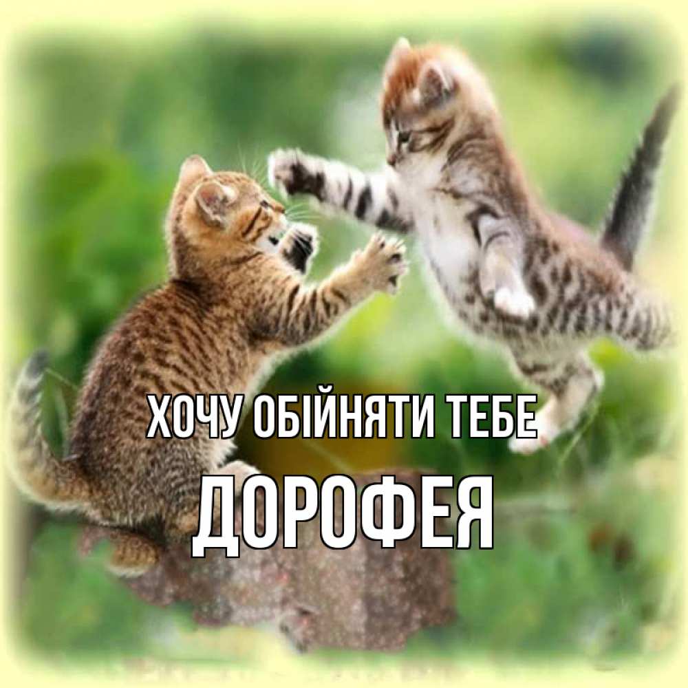 Открытка на каждый день з підписом, Дорофея Хочу обійняти тебе игры котят Прикольна листівка з побажанням онлайн скачати безкоштовно 