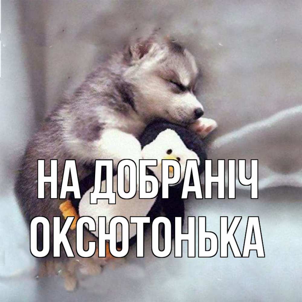 Открытка на каждый день з підписом, Оксютонька На добраніч обнимашки щенка и пингвина Прикольна листівка з побажанням онлайн скачати безкоштовно 