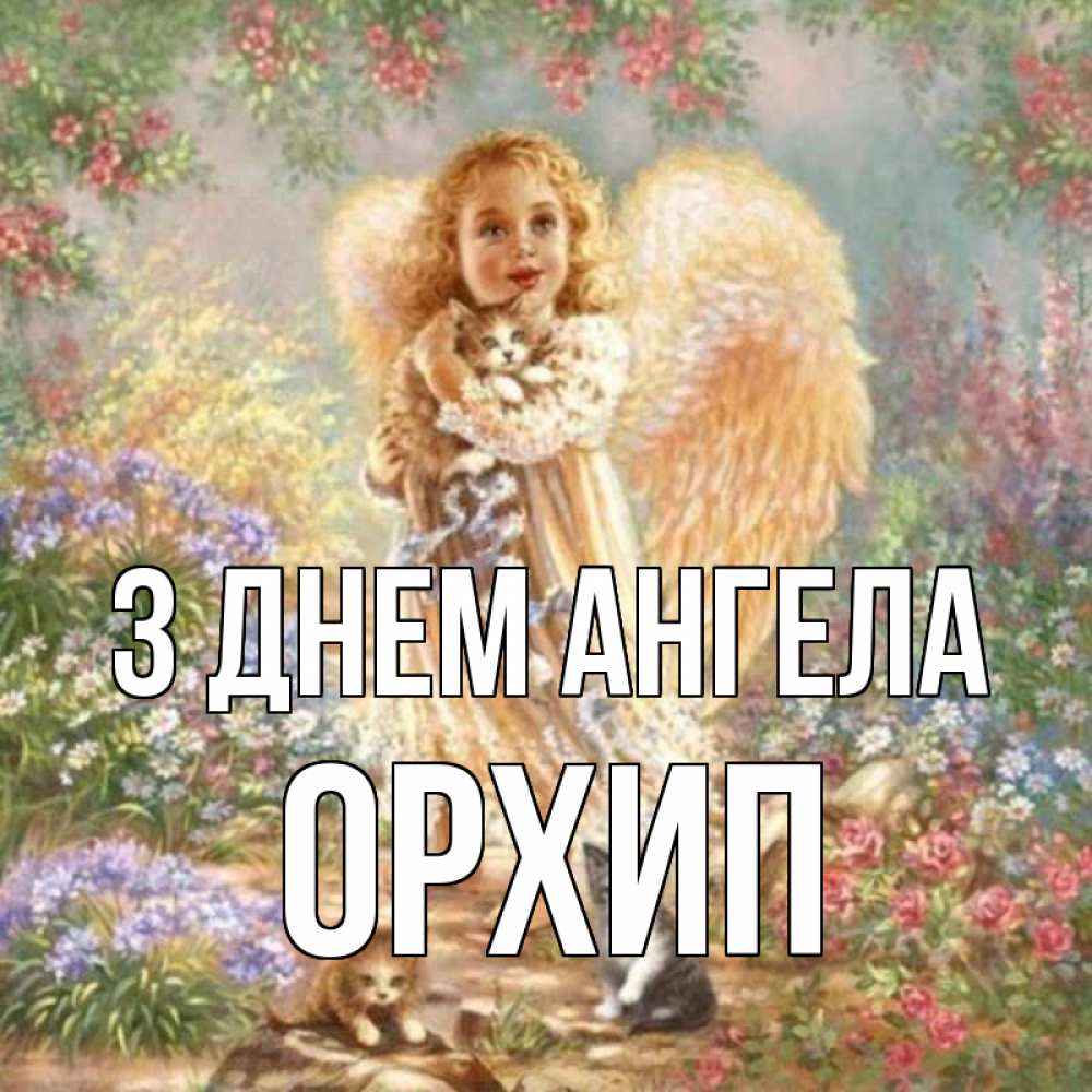 Открытка на каждый день з підписом, Орхип З Днем ангела держит котенка Прикольна листівка з побажанням онлайн скачати безкоштовно 