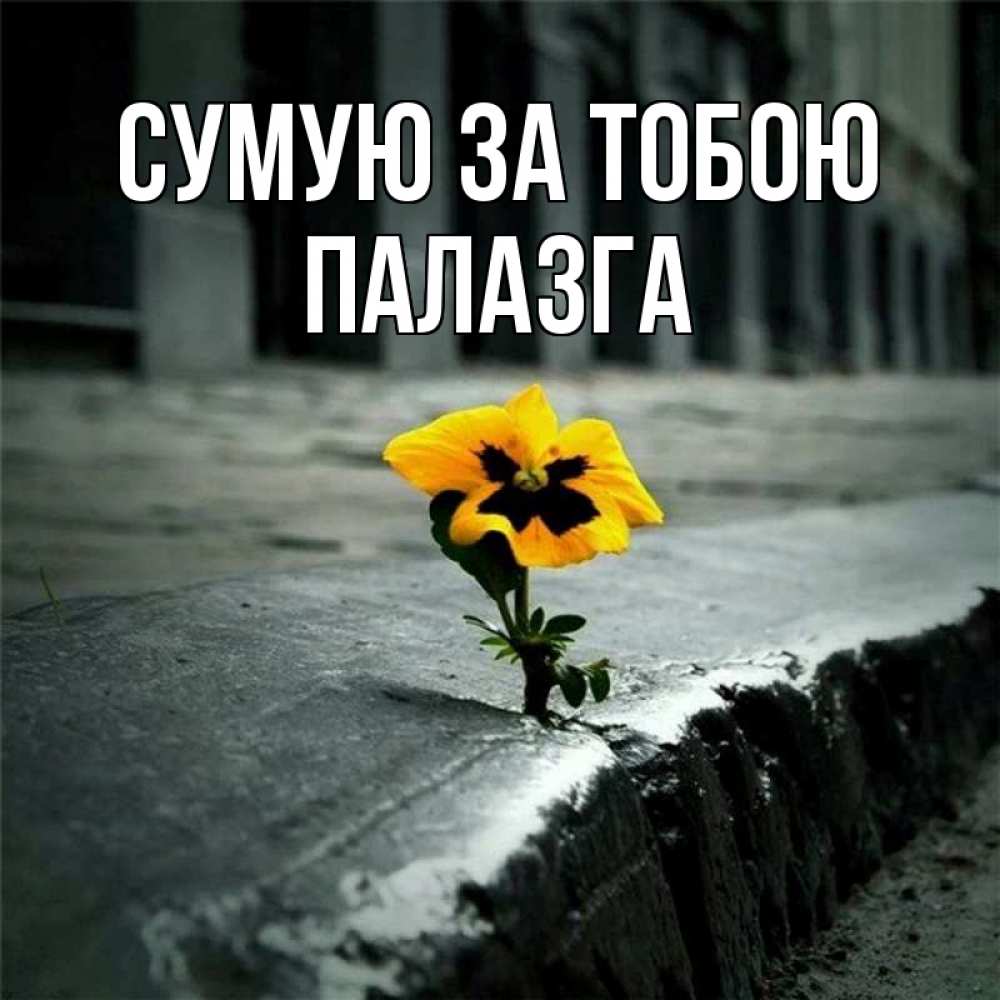 Открытка на каждый день з підписом, Палазга Сумую за тобою надеюсь будет лучше Прикольна листівка з побажанням онлайн скачати безкоштовно 