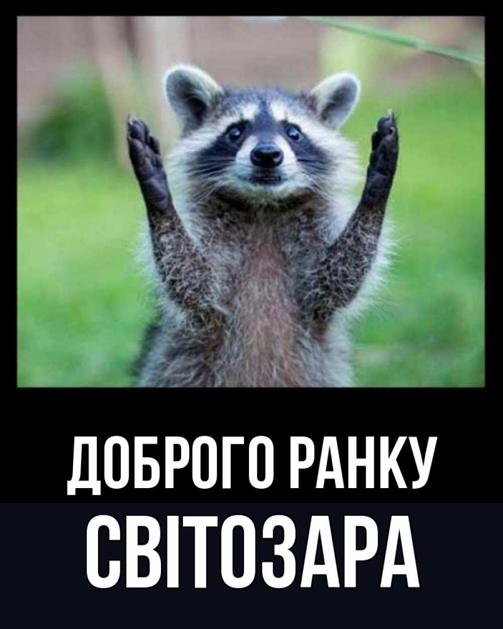 Открытка на каждый день з підписом, Світозара Доброго ранку хорошее настроение утречком Прикольна листівка з побажанням онлайн скачати безкоштовно 