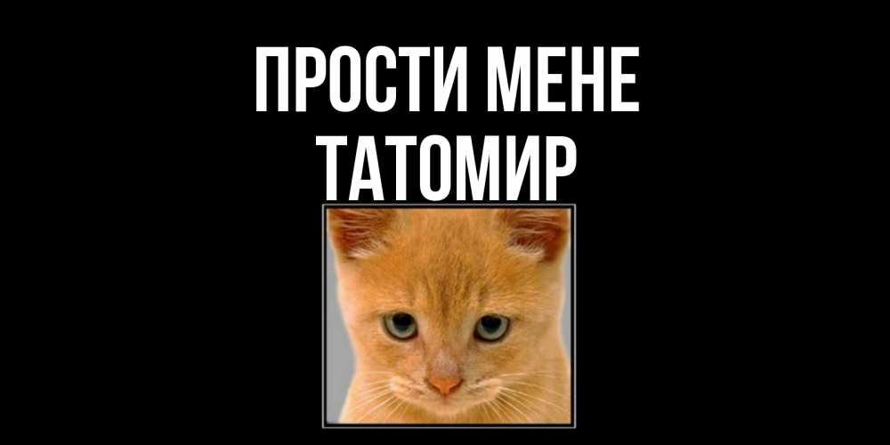 Открытка на каждый день з підписом, Татомир Прости мене рыжий грустный кот просит прощения Прикольна листівка з побажанням онлайн скачати безкоштовно 
