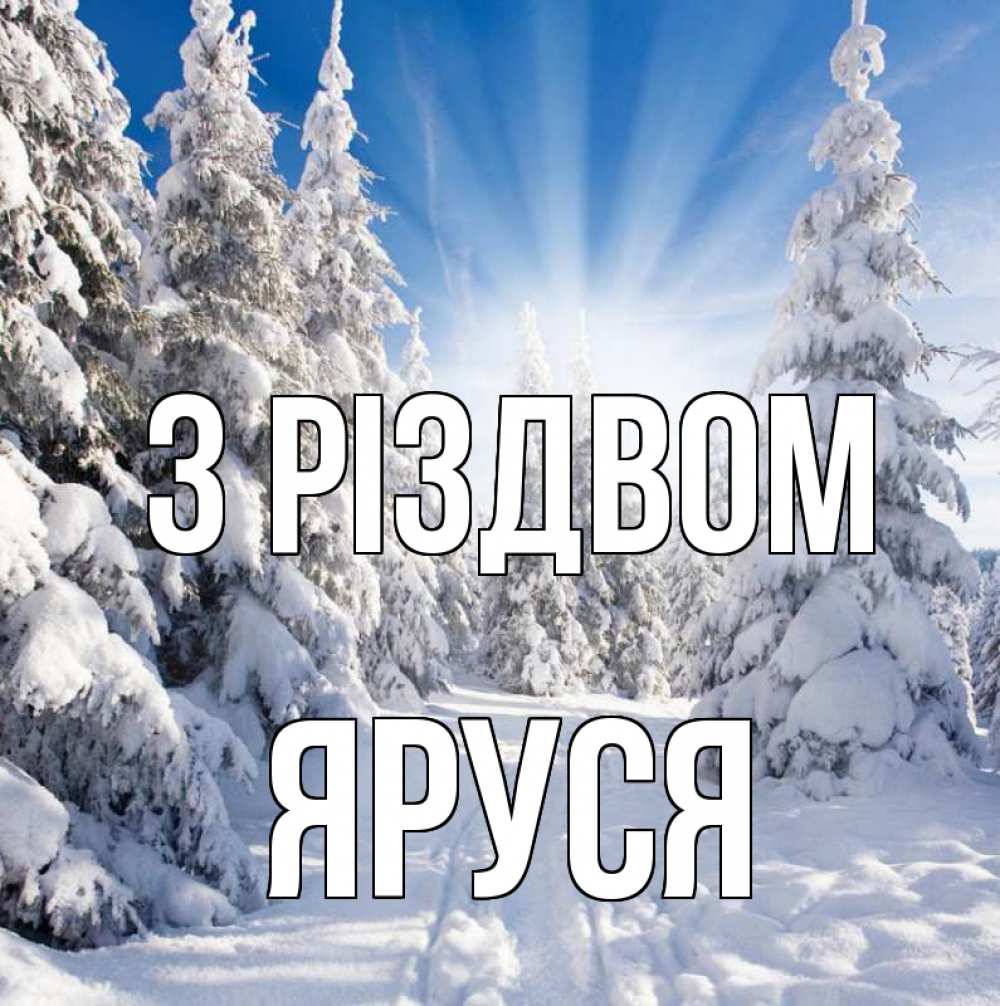 Открытка на каждый день з підписом, Яруся З Різдвом зима, лес Прикольна листівка з побажанням онлайн скачати безкоштовно 
